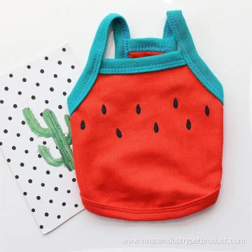 Knitted fabric kiwi watermelon straps gallus pet vest